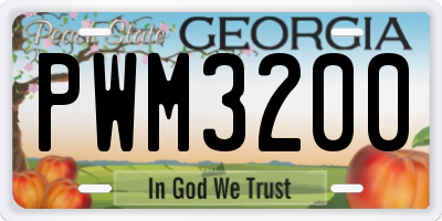 GA license plate PWM3200