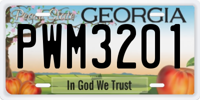 GA license plate PWM3201