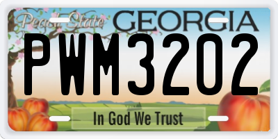 GA license plate PWM3202