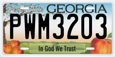 GA license plate PWM3203