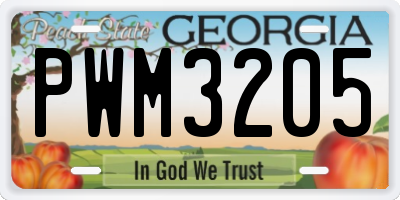 GA license plate PWM3205