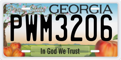 GA license plate PWM3206
