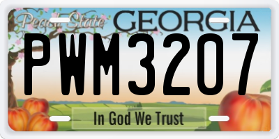 GA license plate PWM3207
