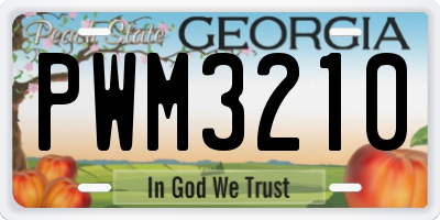 GA license plate PWM3210
