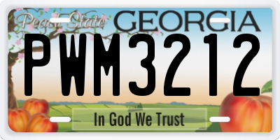 GA license plate PWM3212