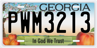 GA license plate PWM3213