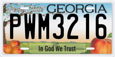 GA license plate PWM3216