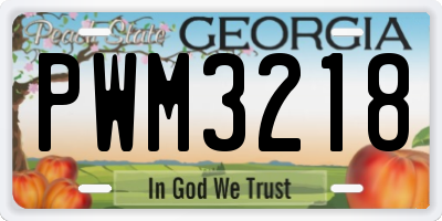 GA license plate PWM3218
