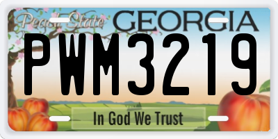 GA license plate PWM3219