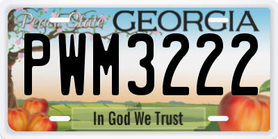 GA license plate PWM3222