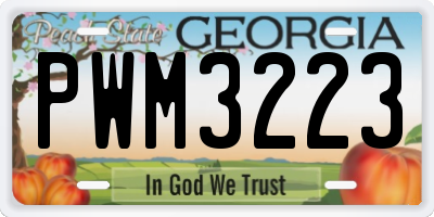 GA license plate PWM3223