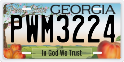 GA license plate PWM3224