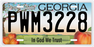 GA license plate PWM3228