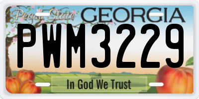 GA license plate PWM3229