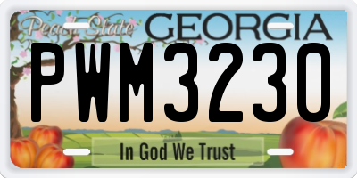 GA license plate PWM3230