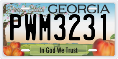 GA license plate PWM3231