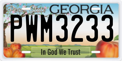 GA license plate PWM3233