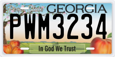 GA license plate PWM3234