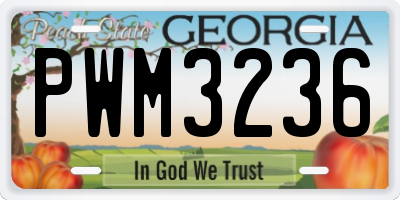 GA license plate PWM3236