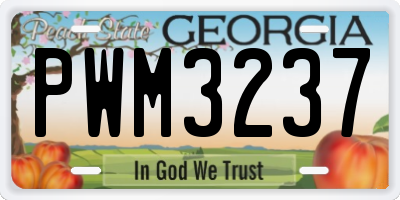 GA license plate PWM3237