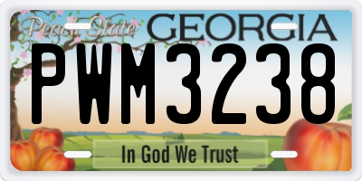GA license plate PWM3238