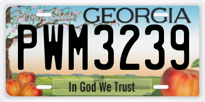 GA license plate PWM3239