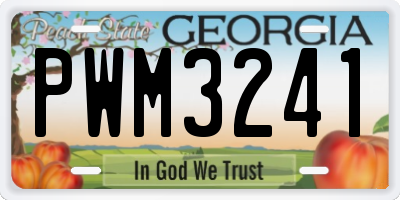GA license plate PWM3241