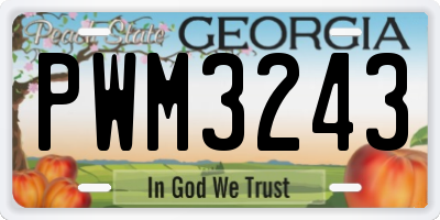 GA license plate PWM3243