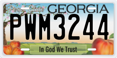 GA license plate PWM3244