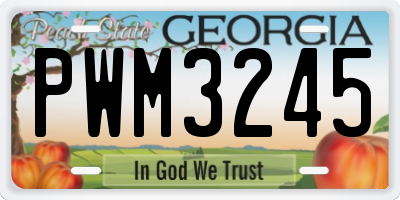 GA license plate PWM3245
