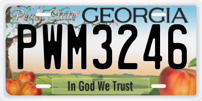 GA license plate PWM3246