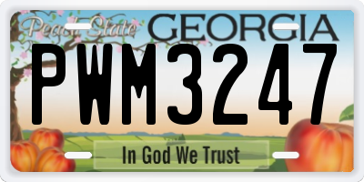 GA license plate PWM3247