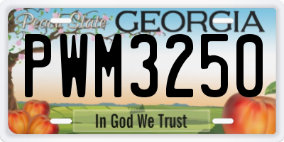 GA license plate PWM3250