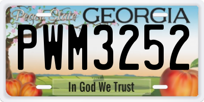 GA license plate PWM3252