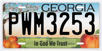 GA license plate PWM3253