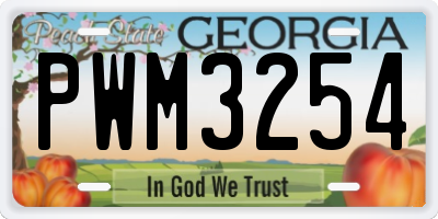 GA license plate PWM3254