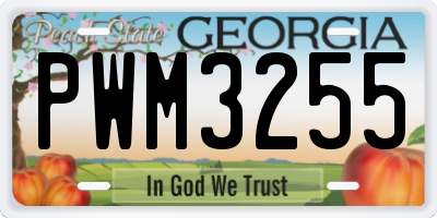 GA license plate PWM3255