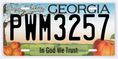 GA license plate PWM3257