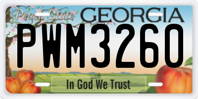 GA license plate PWM3260