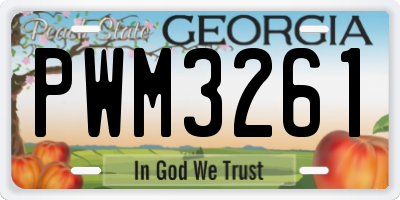 GA license plate PWM3261