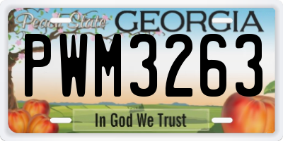 GA license plate PWM3263