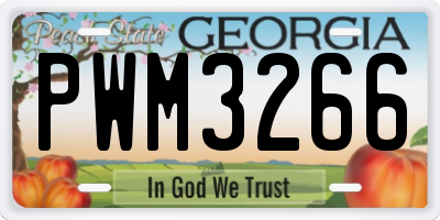 GA license plate PWM3266