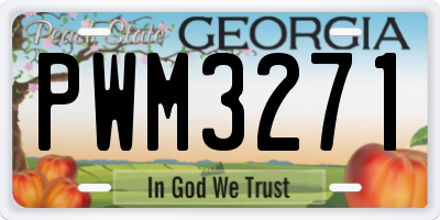 GA license plate PWM3271