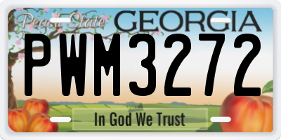 GA license plate PWM3272