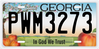 GA license plate PWM3273