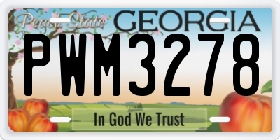 GA license plate PWM3278
