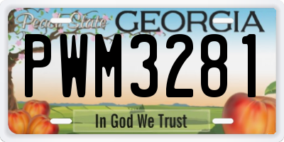 GA license plate PWM3281