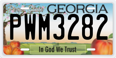 GA license plate PWM3282