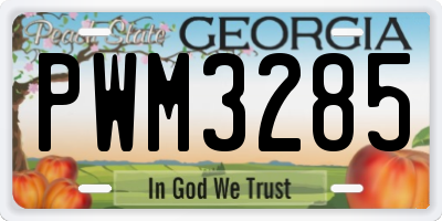 GA license plate PWM3285