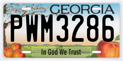 GA license plate PWM3286
